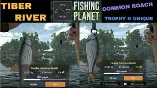 Fishing Planet, Tiber River, Italy, Common Roach, Trophy & Unique