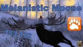 Big Melanistic Bull Moose | theHunter 2016