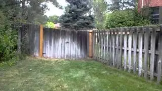 Fence Repair Denver 303-797-8908