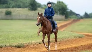 Redkirk Warrior works ahead of the July Cup