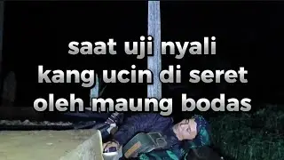 DI SERET MAUNG BODAS SAMPAI TAK SADARKAN DIRI!!!