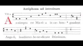 Assumpta est Maria in caelum - In Assumptione B. Mariae Virginis (15.08) - Graduale Simplex Introit
