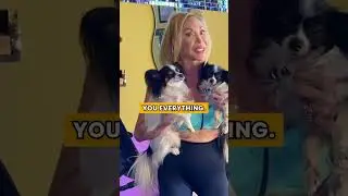 Life Is What You Make of It!  #shorts #dogs #petparent #legs #workout