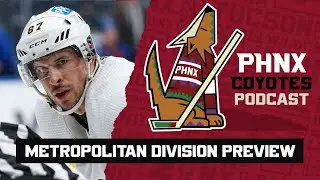 Previewing the NHL&rsquo;s metropolitan division with The Athletic&rsquo;s Aaron Portzline