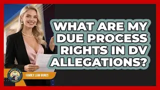 What Are My Due Process Rights In DV Allegations? - Family Law Gurus