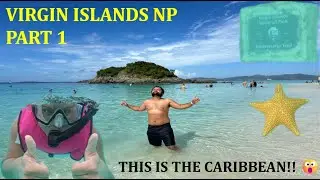 Paradise on Earth! Virgin Islands National Park | St John USVI Beaches, Snorkeling, Turtle, History
