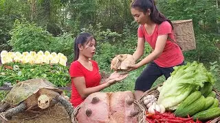 Life in jungle, Meet giant turtle in forest, Water spinach cooking with egg, Cows breast curry tasty