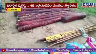 Police Arrests Red Sandal Smugglers Gang |  Police Seized 49 Sandalwood Logs