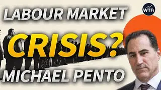 Labour Market Crisis - What Will The Fed & Treasury Do?
