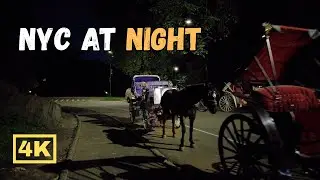 Walk Across Central Park at NIGHT (Dangerous) - Summer 2025 - NYC 4K Walking Tour