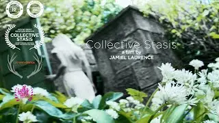 COLLECTIVE STASIS - Jamiel Laurence