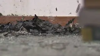 Madison group opposes abortion: Investigators update arson case | FOX6 News Milwaukee