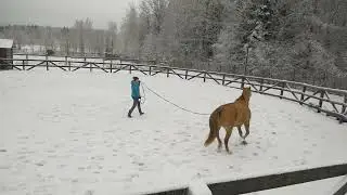 Тест 3 02 01 2020