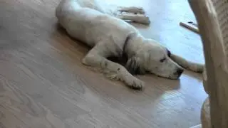 My Friend Wants In