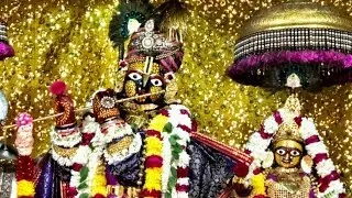 श्रींगोविंद देव जी के आज के धूप आरती दर्शन#govinddevji#shrigovinddevji #premanandjimaharaj#yt#jaipur