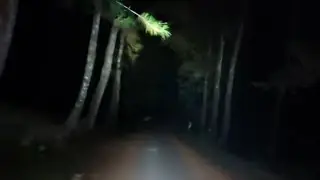 jalan tengah Alas Purwo.  kerto bikin tegang