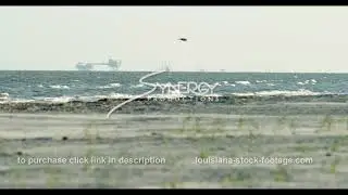 547 oil rigs Louisiana Texas near beach gulf of mexico stock footage video​