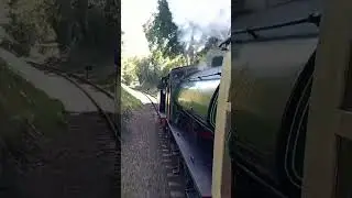 47298 and 49 thrash