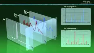 Xevo TQD animation