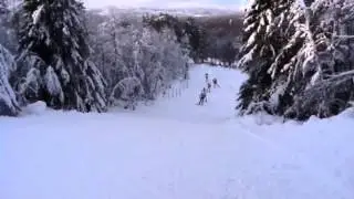 Längdskidor Bruksvallarna
