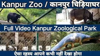 Kanpur Zoo | कानपुर चिड़ियाघर | Kanpur Zoological Park | Kanpur Uttarpradesh | Allen Forest Zoo