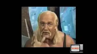 Hulk Hogan wishing Frank Sinatra a Happy Birthday