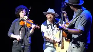 Stillhouse Junkies (Colorado, USA)  -  2022 Westport Folk and Bluegrass Festival