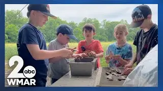 Maryland homeschoolers dig into history at colonial archaeological site