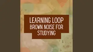 Learning Loop