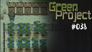 Green Project #038 - Heilmittel und Gro&szlig;ernte