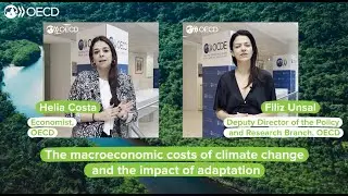 How costly is climate change and what is the economic value of adaptation?
