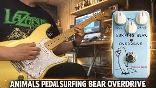 Animals Pedals Surfing Bear Overdrive Pedal -  Overdrive and Distortion Pedal!!!!!