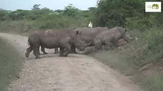 Nairobi National Park||Official Trailer