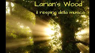 Larian's Wood... il respiro della musica