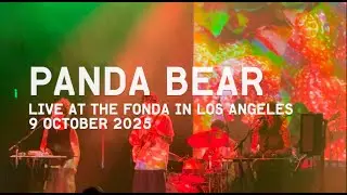 PANDA BEAR 10-7-2025 (partial set)