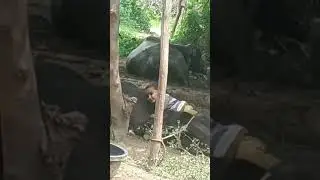 #funny #boys #desi  #viral  #video