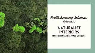 Health Recovery Solutions, Hoboken NJ / Moss Logo Wall Maintenance Free Moss / Preserved Moss