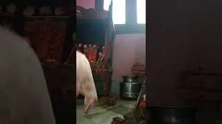 ॐ नमो subramaniya swamiya नमः