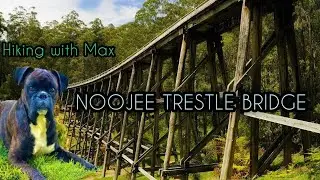 Hiking Noojee Trestle Bridge Rail Trail Walk, Gippsland, Victoria, Australia #walking #walk #hiking