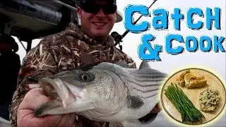 How To Cook Striped Bass!! Easy Recipe (Striper, Rockfish)