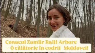 Descoperim conacul Zamfir Ralli-Arbore și Izvorul Zamfirei – O călătorie în codrii Moldovei! #3