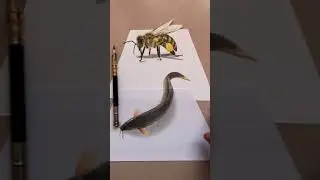 3d drawing fish and bees #drawing