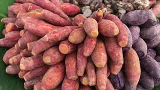 Most popular Cambodian countryside and village snacks and refreshments, cheap, healthy & yummy foods