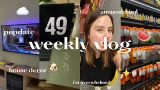 ЕЖЕНЕДЕЛЬНЫЙ ВЛОГ: обновление, новый декор для дома, покупка на Amazon, я в шоке и многое другое