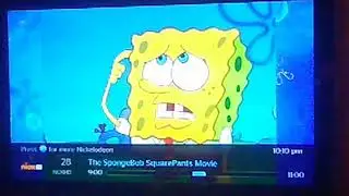 Stephen Hillenburg Nickelodeon TV memorial (Spongebob creator)