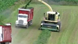 Krone 800 chopping second crop