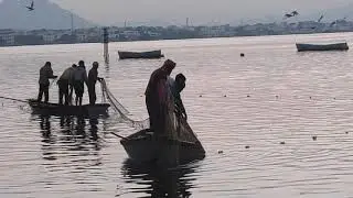 Fishing at Anasagar lake#Ajmer#Rajasthan#tourism