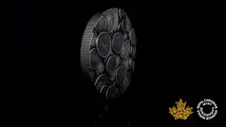 Pure Silver One-Kilogram Coin &ndash; The Canadian Coin Collection