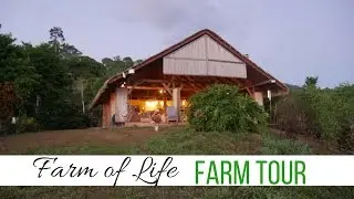 FARM TOUR of 🍌🌿✨ Finca de Vida ✨🌿🍌