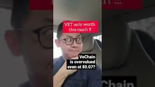 VeChain is overvalued even at $0.07?